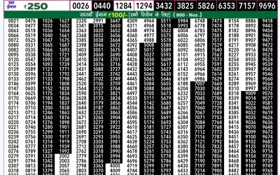 Rajshree 50 ravi weekly lottery 7.30pm result 24 November 2024