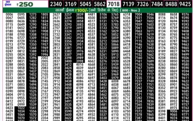 Rajshree 50 som weekly lottery 7.30pm result 25 November 2024