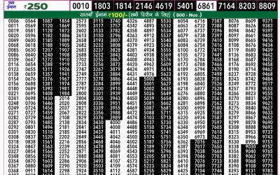 Rajshree 50 mangal weekly lottery 7.30pm result 26 November 2024