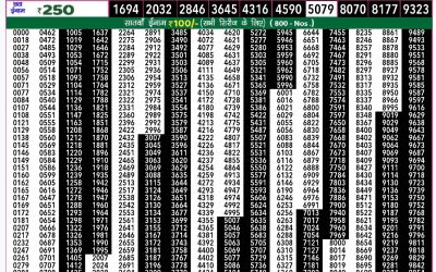 Rajshree 50 shukra weekly lottery 7.30pm result 29 November 2024