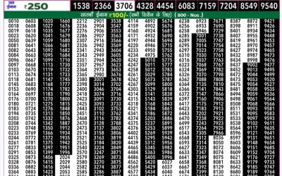 Rajshree 50 som weekly lottery 7.30pm result 30 December 2024