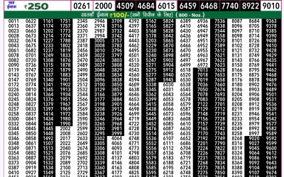 Rajshree 50 Budh weekly lottery 7.30pm result 25 December 2024