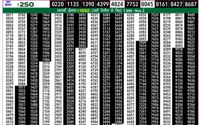 Rajshree 50 mangal weekly lottery 7.30pm result 3 December 2024