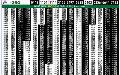 Rajshree 50 mangal weekly lottery 7.30pm result 10 December 2024