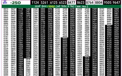 Rajshree 50 ravi weekly lottery 7.30pm result 8 December 2024