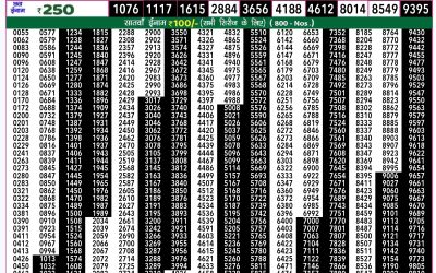 Rajshree 50 ravi weekly lottery 7.30pm result 22 December 2024