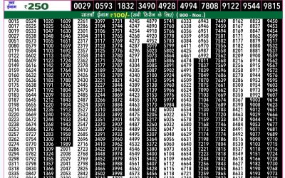 Rajshree 50 ravi weekly lottery 7.30pm result 29 December 2024