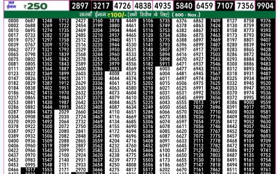Rajshree 50 shani weekly lottery 7.30pm result 28 December 2024