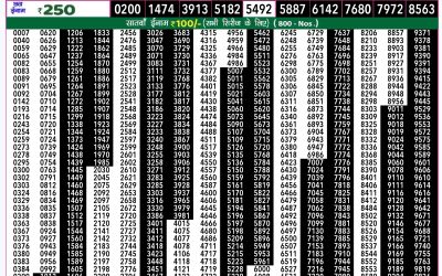 Rajshree 50 Shukra weekly lottery 7.30pm result 20 December 2024