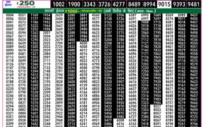 Rajshree 50 shani weekly lottery 7.30pm result 25 january 2025