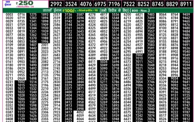 Rajshree 50 mangal weekly lottery 7.30pm result 14 january 2025