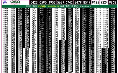 Rajshree 50 mangal weekly lottery 7.30pm result 21 january 2025