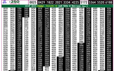 Rajshree 50 mangal weekly lottery 7.30pm result 28 january 2025