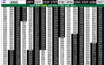 Rajshree 50 ravi weekly lottery 7.30pm result 5 january 2025