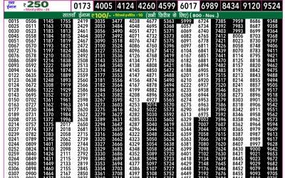 Rajshree 50 ravi weekly lottery 7.30pm result 19 january 2025