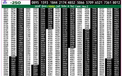 Rajshree 50 shani weekly lottery 7.30pm result 4 january 2025
