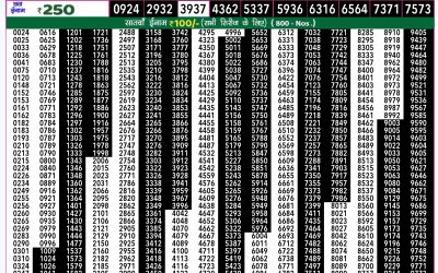 Rajshree 50 shani weekly lottery 7.30pm result 11 january 2025