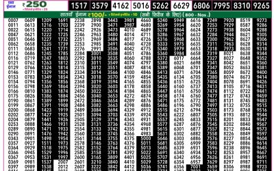 Rajshree 50 Shukra weekly lottery 7.30pm result 24 january 2025
