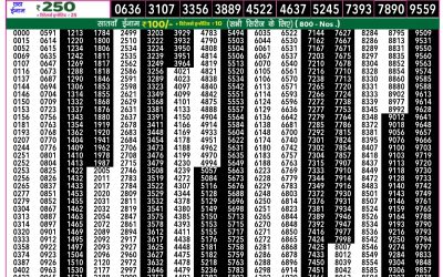 Rajshree 50 Shukra weekly lottery 7.30pm result 31 january 2025