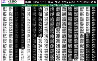 Rajshree 50 shani weekly lottery 7.30pm result 1 February 2025