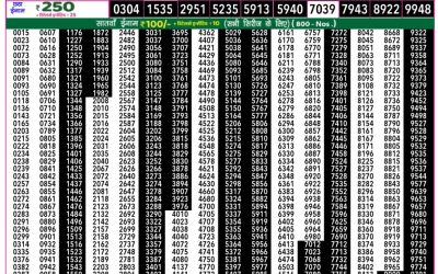 Rajshree 50 ravi weekly lottery 7.30pm result 16 February 2025