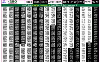 Rajshree 50 mangal weekly lottery 7.30pm result 18 February 2025
