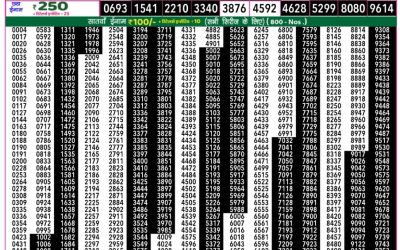 Rajshree 50 ravi weekly lottery 7.30pm result 23 February 2025