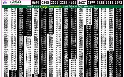 Rajshree 50 guru weekly lottery 7.30pm result 20 February 2025