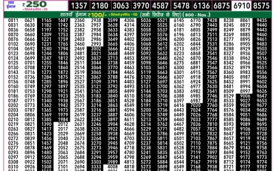 Rajshree 50 mangal weekly lottery 7.30pm result 25 February 2025