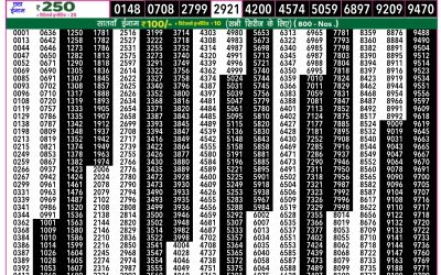 Rajshree 50 ravi weekly lottery 7.30pm result 2 February 2025