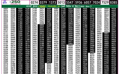 Rajshree 50 shani weekly lottery 7.30pm result 8 February 2025