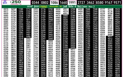 Rajshree 50 som weekly lottery 7.30pm result 3 February 2025