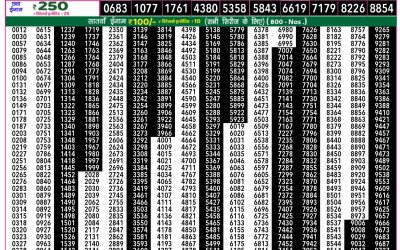 Rajshree 50 som weekly lottery 7.30pm result 24 February 2025