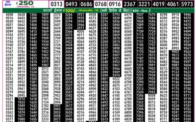 Rajshree 50 shani weekly lottery 7.30pm result 8 March 2025