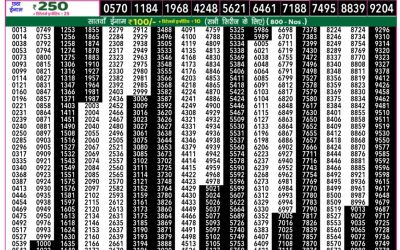 Rajshree 50 ravi weekly lottery 7.30pm result 16 March 2025