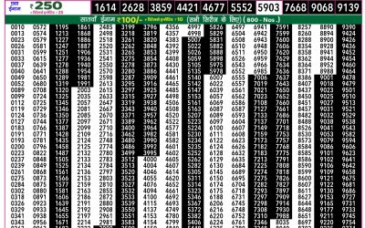 Rajshree 50 ravi weekly lottery 7.30pm result 23 March 2025