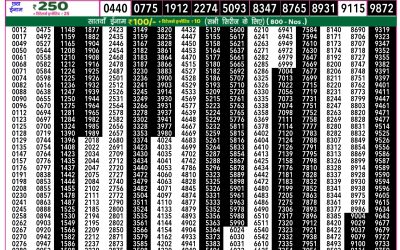 Rajshree 50 som weekly lottery 7.30pm result 3 March 2025
