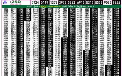 Rajshree 50 som weekly lottery 7.30pm result 31 March 2025