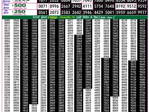 Rajshree Lottery Result Today