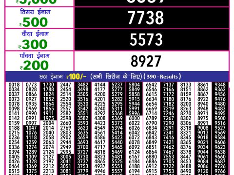 Rajshree Lottery Result Today