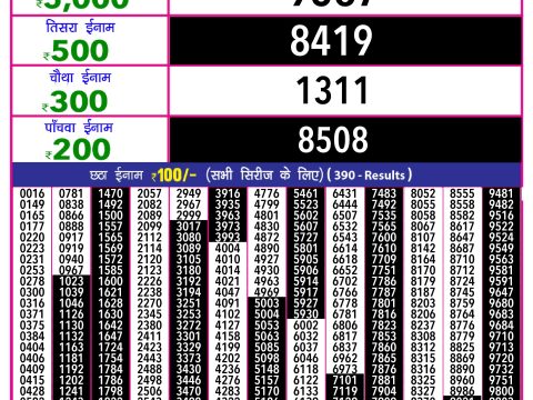 Rajshree Lottery Result Today