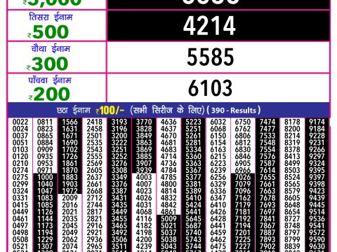Rajshree Lottery Result Today