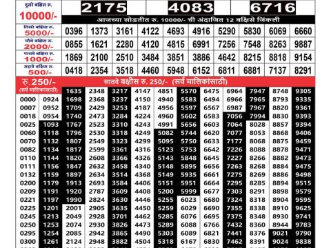 Rajshree Lottery Result Today
