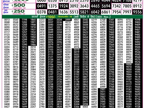 Rajshree Lottery Result Today