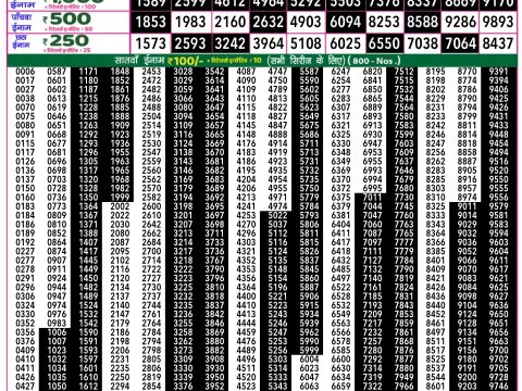 Rajshree Lottery Result Today