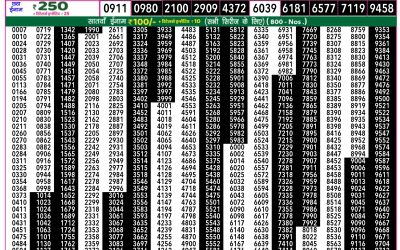 Rajshree 50 guru weekly lottery 7.30pm result 8 May 2025