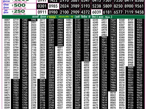 Rajshree Lottery Result Today