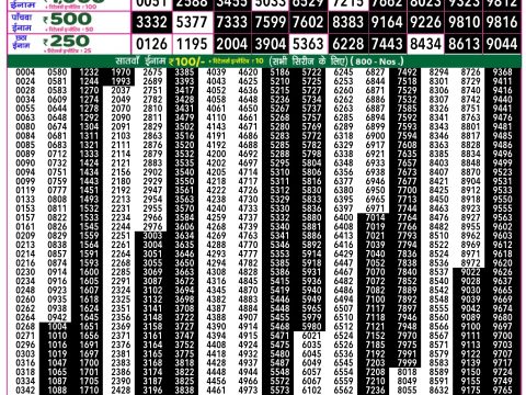 Rajshree Lottery Result Today
