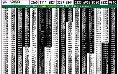 Rajshree 50 ravi weekly lottery 7.30pm result 4 May 2025