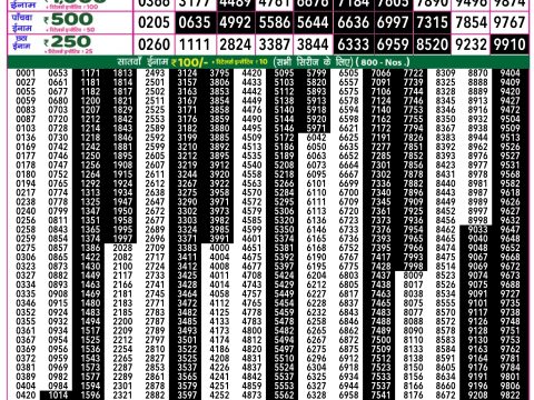 Rajshree Lottery Result Today